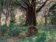 -顺峰山公园
