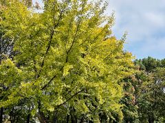 -艾溪湖湿地公园