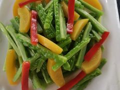 -河畔春天时尚餐厅