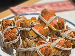 -杨氏青龙虾·羊蝎子(托乐嘉店)
