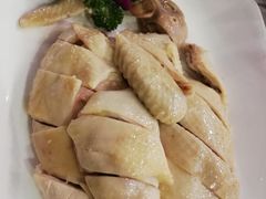 六婶白切清远鸡-六婶西关小厨(光塔路店)