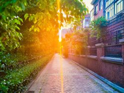 -巍阁高端月子会所