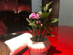 -初花·日本料理