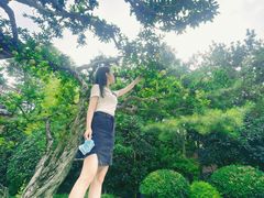 -西安华清御汤酒店