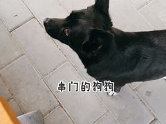 -ALAMEEN阿拉伯餐厅(三里屯店)