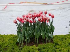 -人民公园(罗湖区)