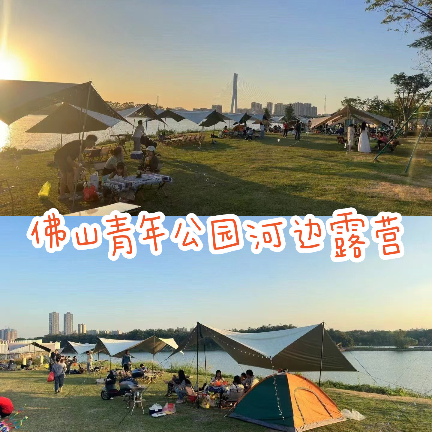 佛山青年公园坐公交车图片