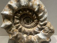 -安徽省地质博物馆