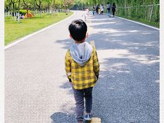 -艾溪湖湿地公园