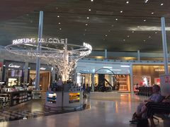 -戴高乐机场免税店(BuY PARIS DUTY FREE)