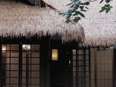 -中国茶叶博物馆(双峰馆区)