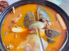 -潇湘甲鱼村(清河店)