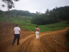 -乌江画廊(彭水苗族土家族自治县)