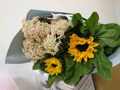 -双季花艺园艺市场(浦东店)