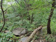 -大岭沟猕猴桃谷风景区