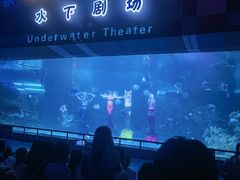 -泉城欧乐堡海洋极地世界