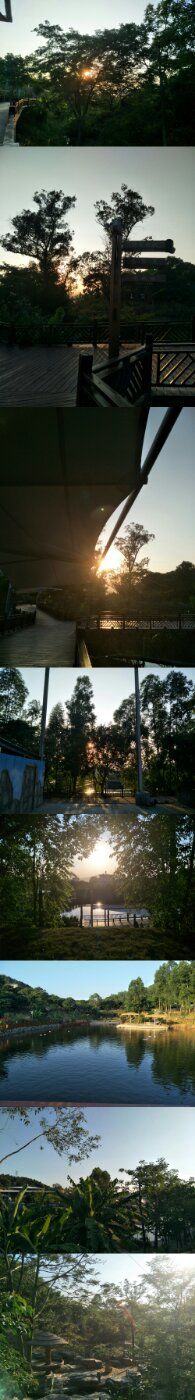 -泉州海丝野生动物世界