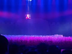 -济南方特东方神画