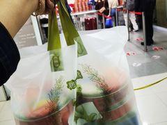 -珍妮曲奇聪明小熊(尖沙咀店)