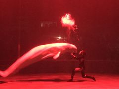 -芜湖新华联大白鲸海洋公园