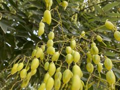 -南京市无想山景区