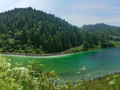 -武陵山森林公园