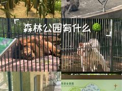 -广东茂名森林公园