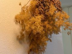 -Ginko银子(青龙街店)