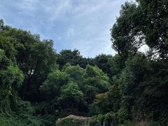 -岳麓山风景名胜区