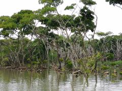 -东寨港红树林旅游区