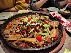 -老板恋上鱼(恒隆广场店)