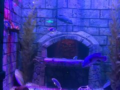 -波塞冬旅游度假区