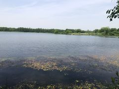 -东湖落雁景区