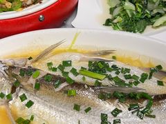 -京城小江南·北京烤鸭·江南土菜·白鱼(中关村店)