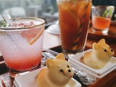 -柴犬高等学院·狗咖·柴犬售卖·宠物训练