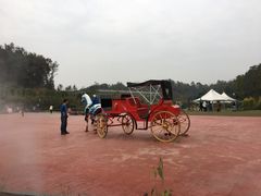 -黄龙溪欢乐田园