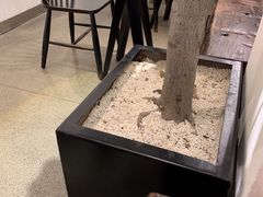 -喜茶(中山白水井店)