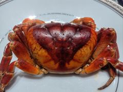 -新光酒家·河豚·海鲜·蟹料理(浦东店)