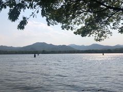 -西湖外事游船(花港观鱼码头)