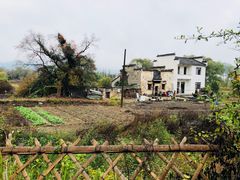 -塔川景区