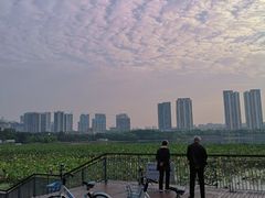 -月湖风景区