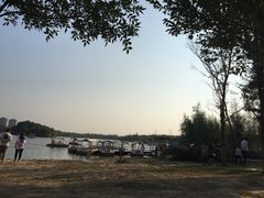 -蒲河岛湿地公园