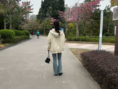 -中山市树木园