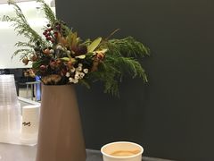 -Seesaw Coffee(上海国金中心店)