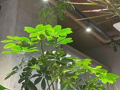 -Wagas沃歌斯(北京君太百货店)