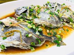 -台山美食一绝阿四台山黄鳝饭(阿四创作店)