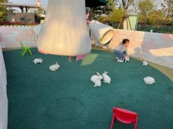 -季高兔窝窝亲子园(上海薰衣草公园店)