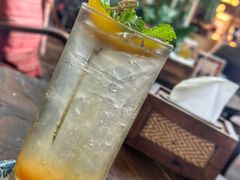 -Fern Forest Cafe