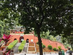 -东莞市大岭山森林公园