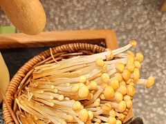 -季季山·云南野生菌火锅(上海首店)